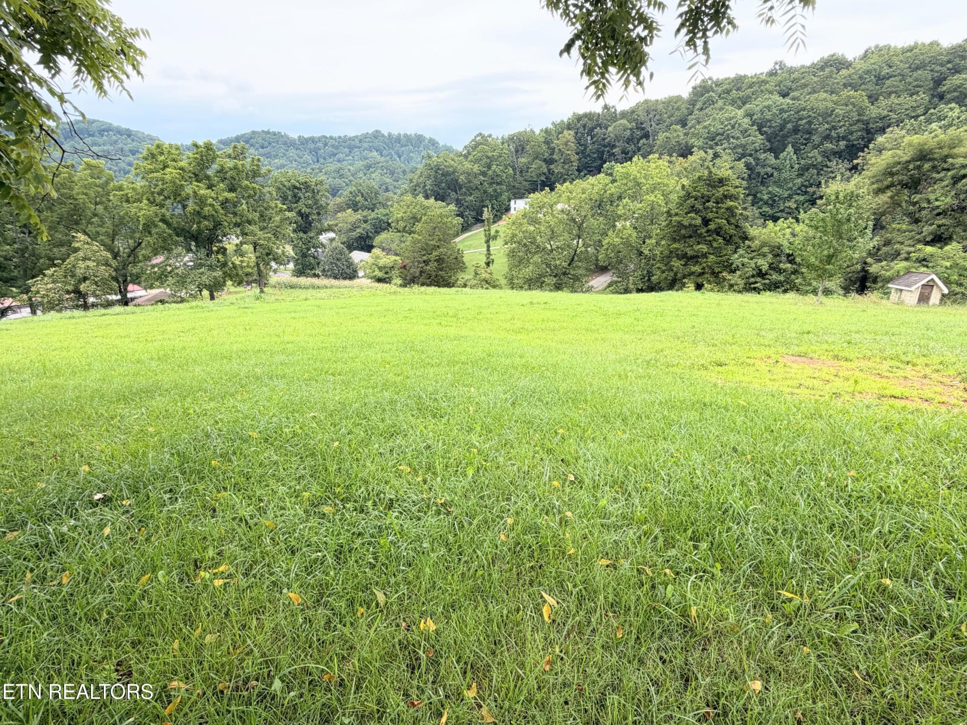 Pine Crest Drive, Maynardville, TN 37807 Main Photo