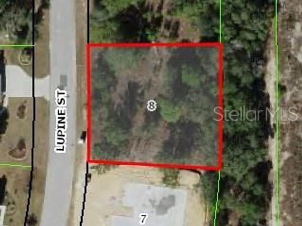 16 LUPINE STREET , HOMOSASSA, FL 34446