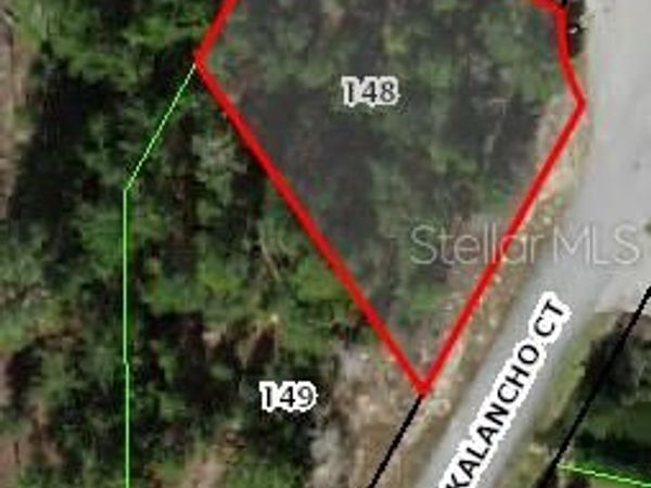 3 KALANCHOE COURT , HOMOSASSA, FL 34446