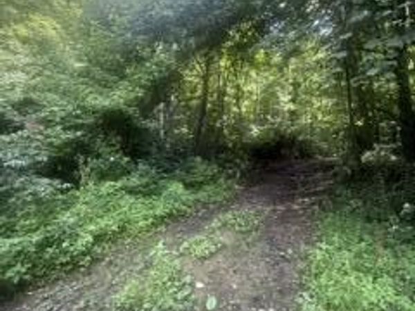 Ailor Dr Off Drive, Maynardville, TN 37807