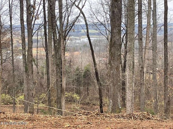 00 Lot 10 Poplar Drive , Sweetwater, TN 37874