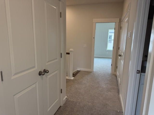 596 Scholar Way Photo 18