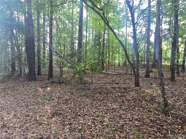0 Union Road, Vance, AL 35490