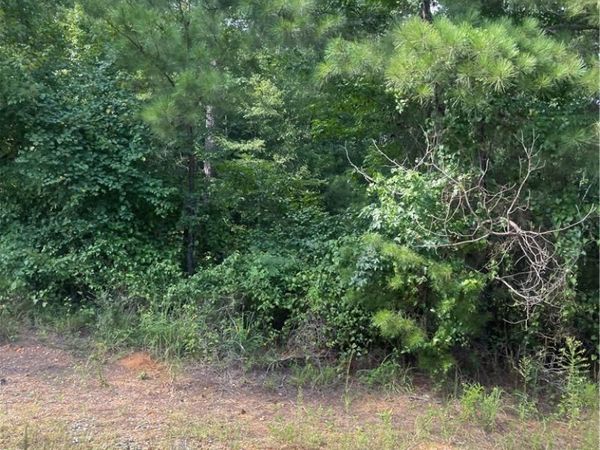 0 North River Lane , Tuscaloosa, AL 35475