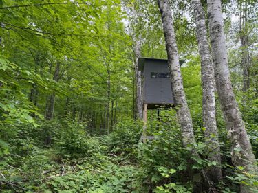 TBD Shady Pine Road, Bruno, MN 55712