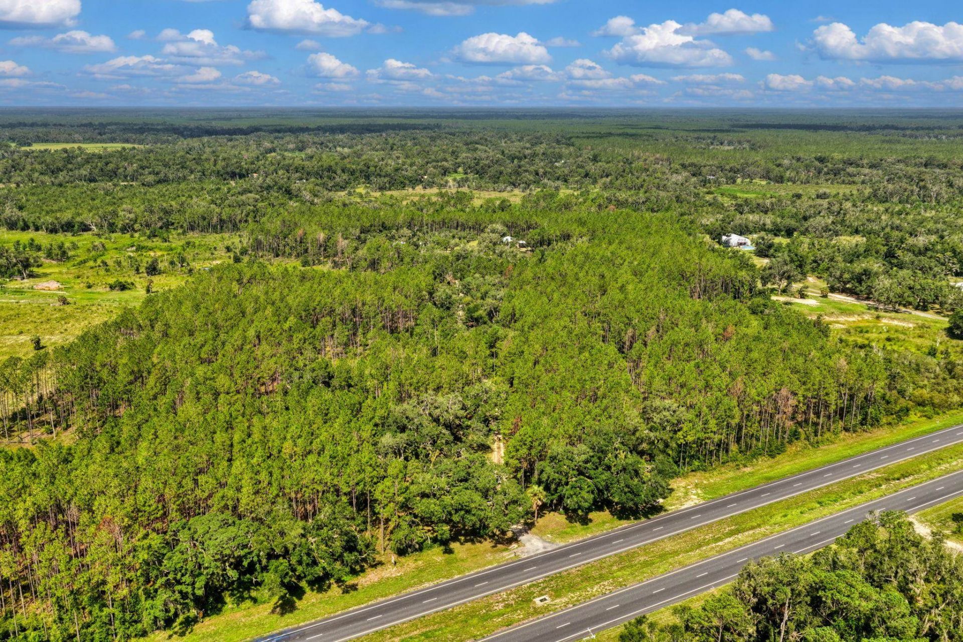 6369 Us 19 S, Perry, FL 32348 Photo