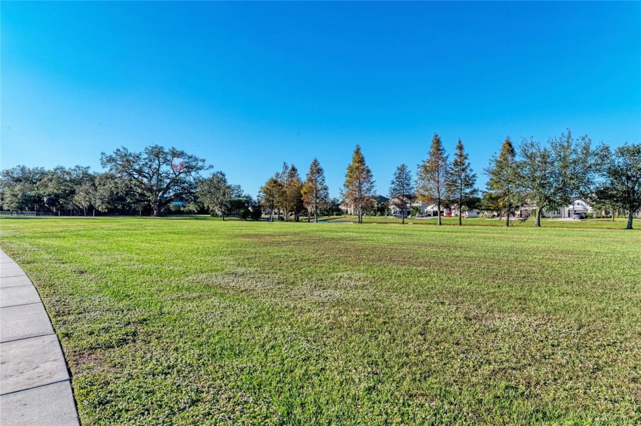 13124 Bliss Loop, Bradenton, FL 34211 Photo