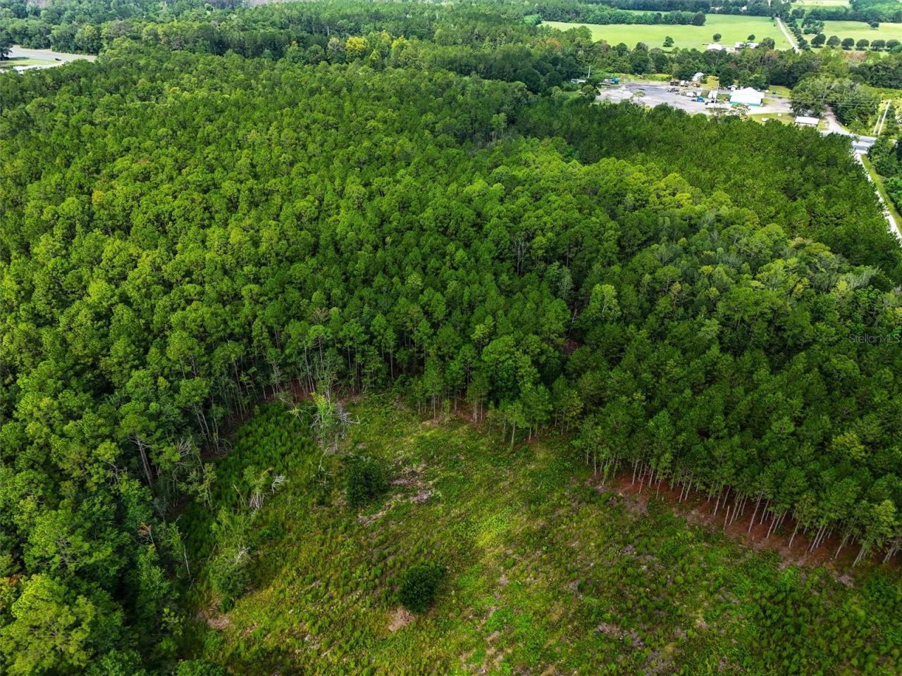 Tbd NE Ne 6th Avenue, Lawtey, FL 32058 Photo