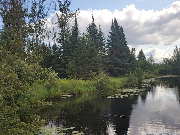 Juniper Way, Grayling, MI 49738