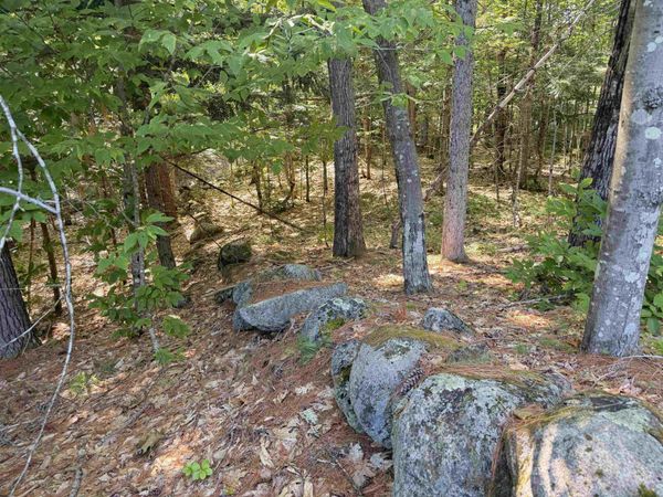 000 Alden Washburn Drive, Tamworth, NH 03886