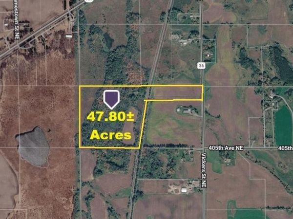 40xxx Vickers Street NE, Stanchfield Twp, MN 55080