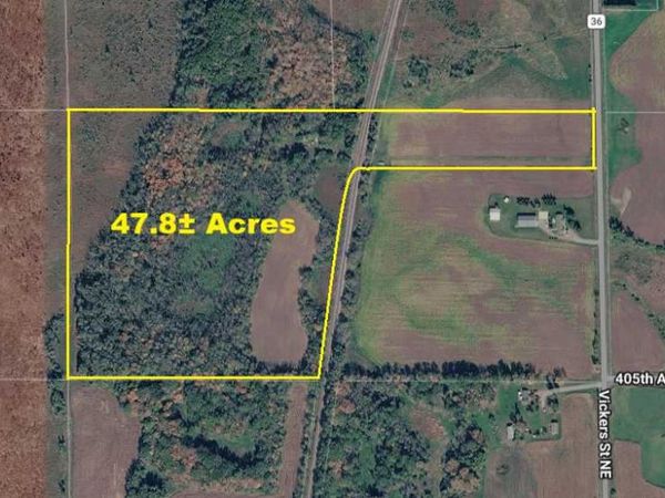 40xxx Vickers Street NE, Stanchfield Twp, MN 55080