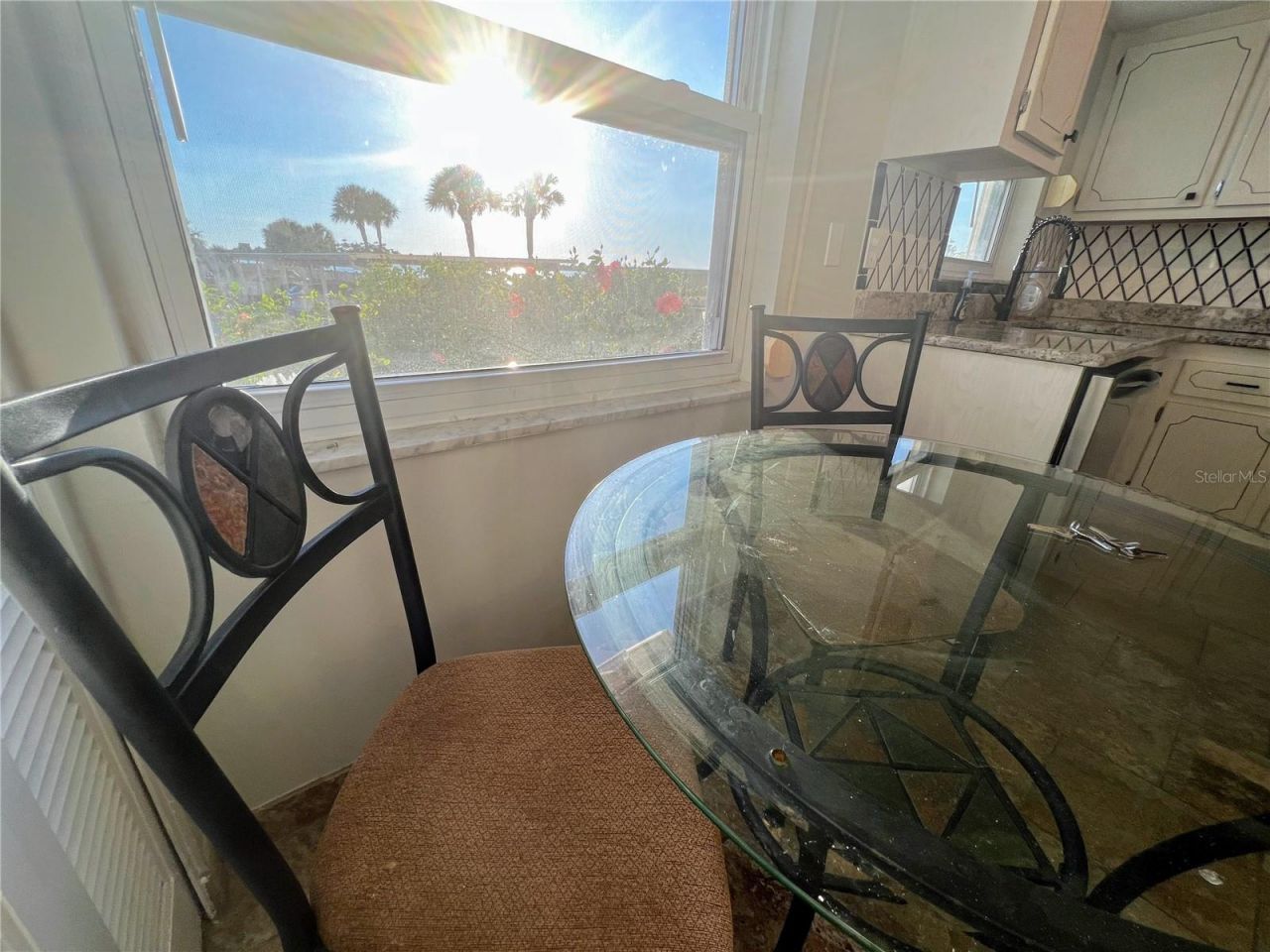 9 Haig Place , Unit 101, Dunedin, FL 34698 Photo
