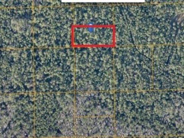 UNIMPROVED , DE LEON SPRINGS, FL 32130