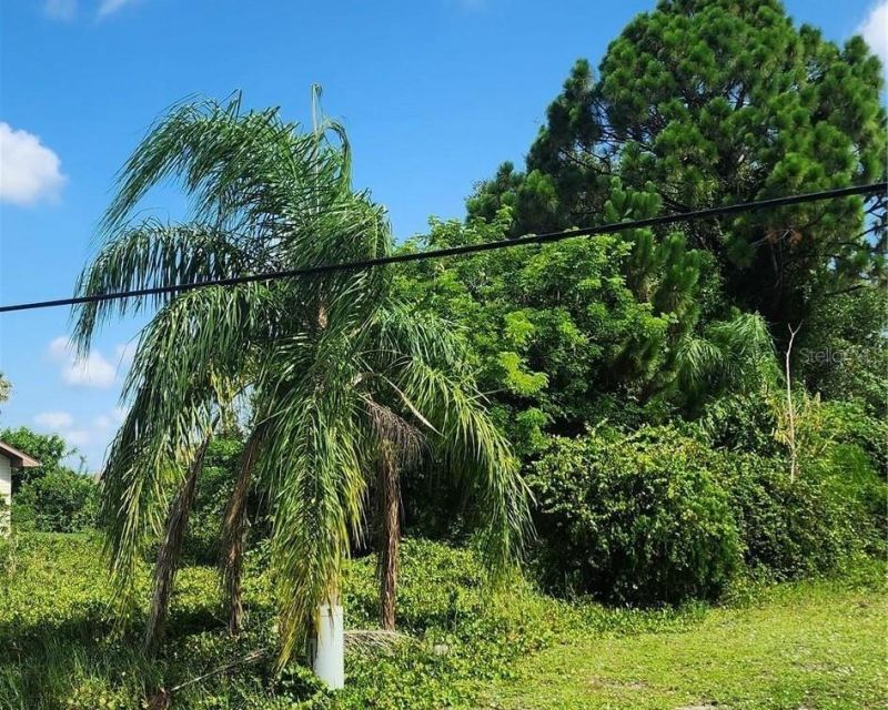 26532 Angelica Road, Punta Gorda, FL 33955 Photo