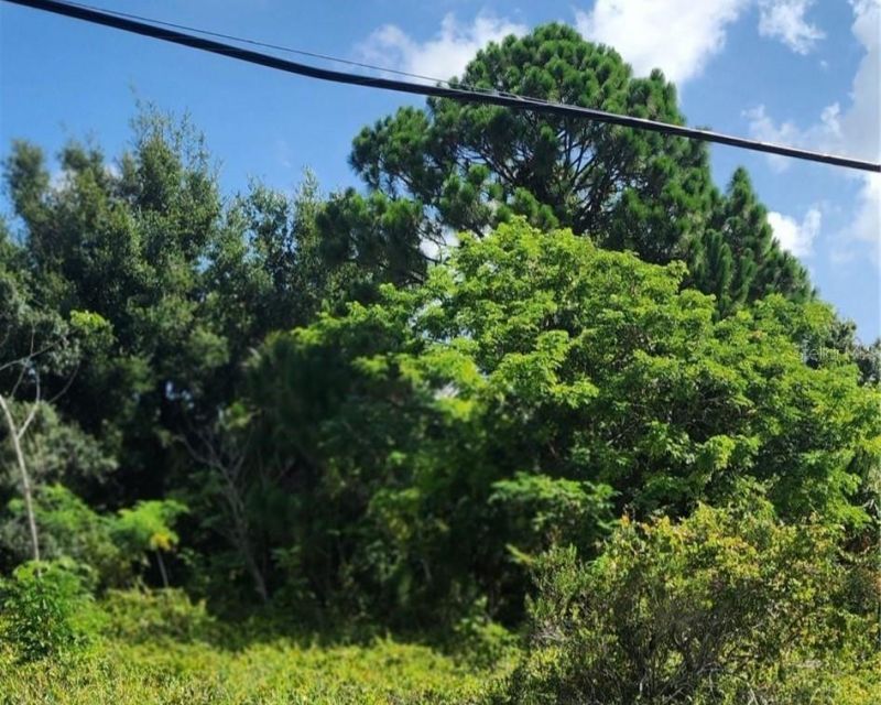 26532 Angelica Road, Punta Gorda, FL 33955 Photo