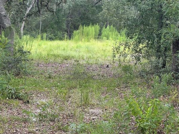 5730 SE COUNTY ROAD 337 , MORRISTON, FL 32668