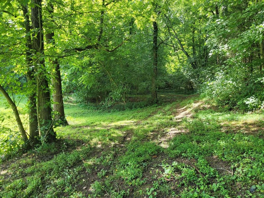Property Image 41