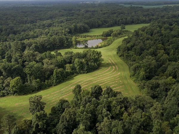 00 Mt. Carmel Road , Whiteville, TN 38075