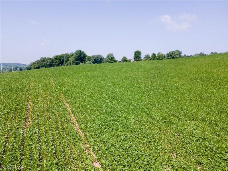 18412 Pigeon Roost Road, Howard, OH 43028 Photo 43