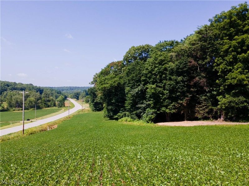 18412 Pigeon Roost Road, Howard, OH 43028 Photo 48