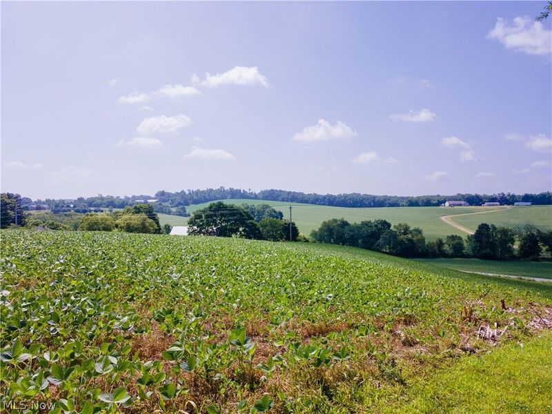 18412 Pigeon Roost Road, Howard, OH 43028 Photo 9