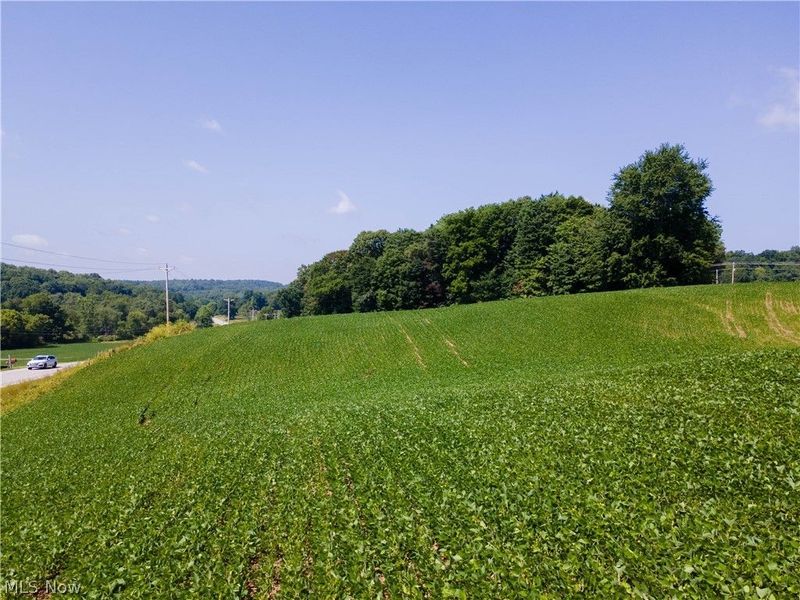 18412 Pigeon Roost Road, Howard, OH 43028 Photo 14