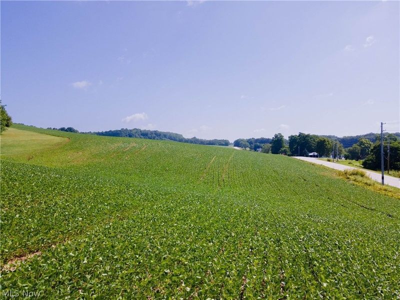 Pigeon Roost Road, Howard, OH 43028 Photo 1