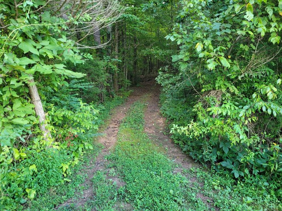 Property Image 35
