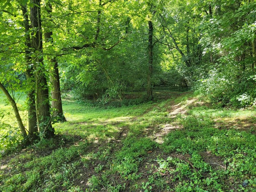 Property Image 36