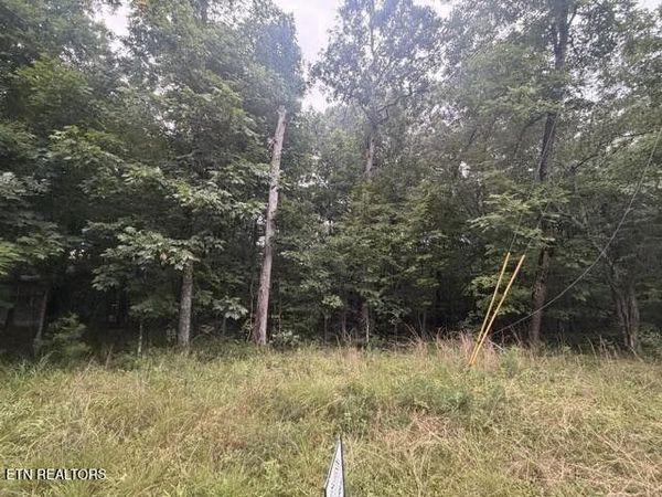 3333 Warpath Drive , Unit 594, Crossville, TN 38572