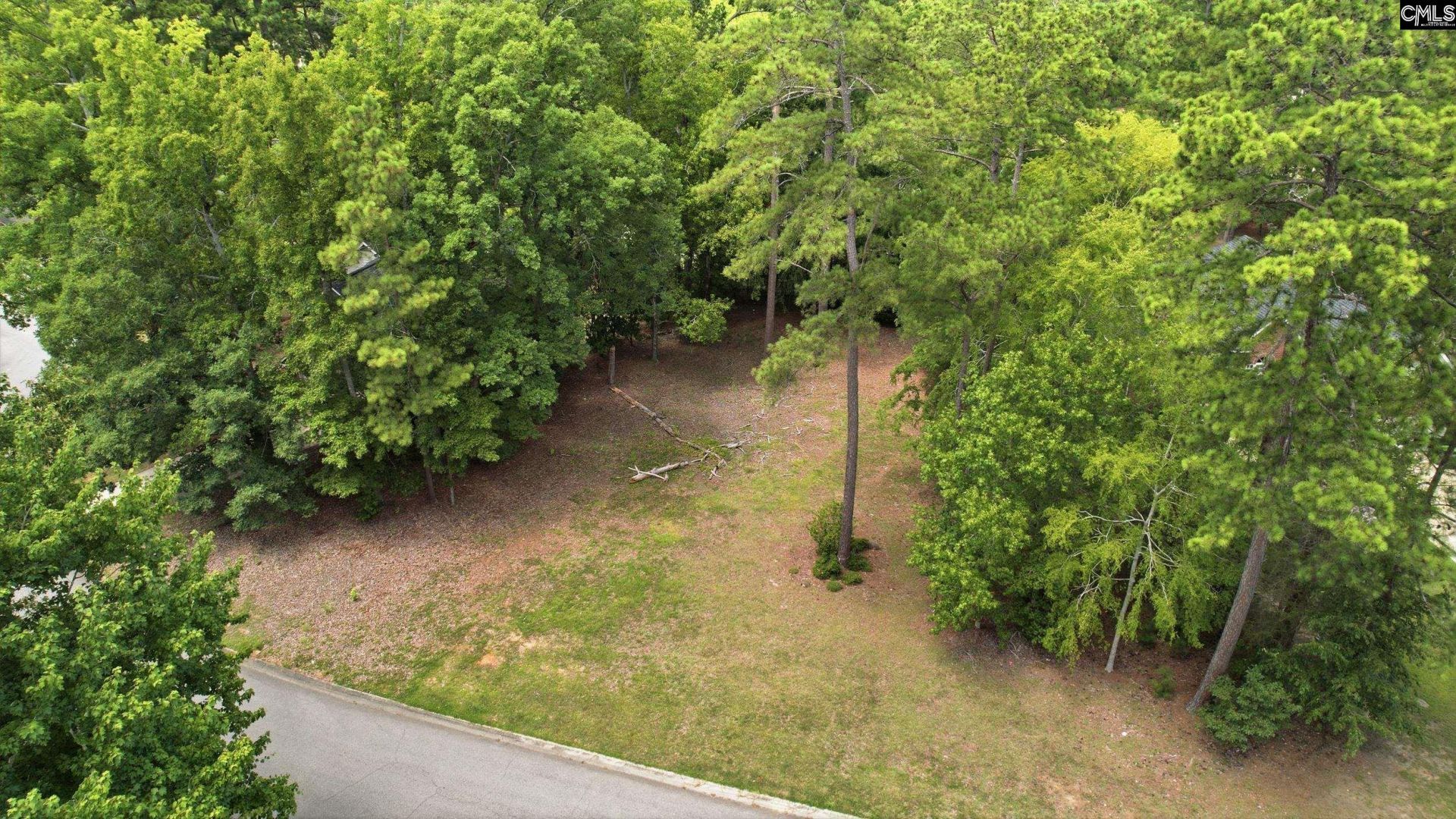 105 Oak Trace Court  Photo 9