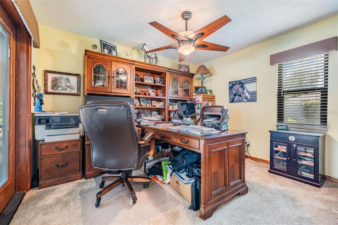 13203 Spindlewyck Cove, Riverview, FL 33569 Photo