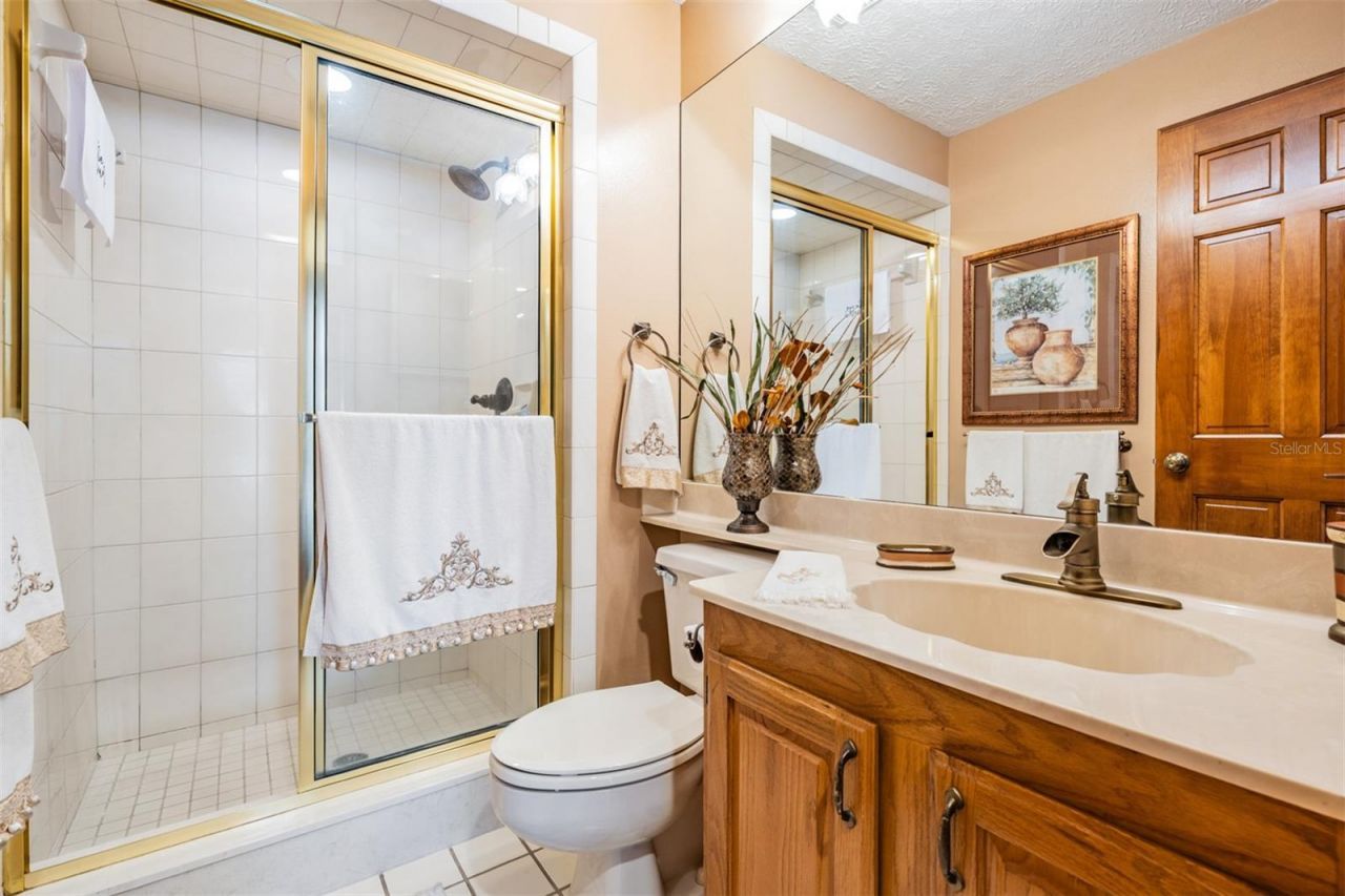 13203 Spindlewyck Cove, Riverview, FL 33569 Photo