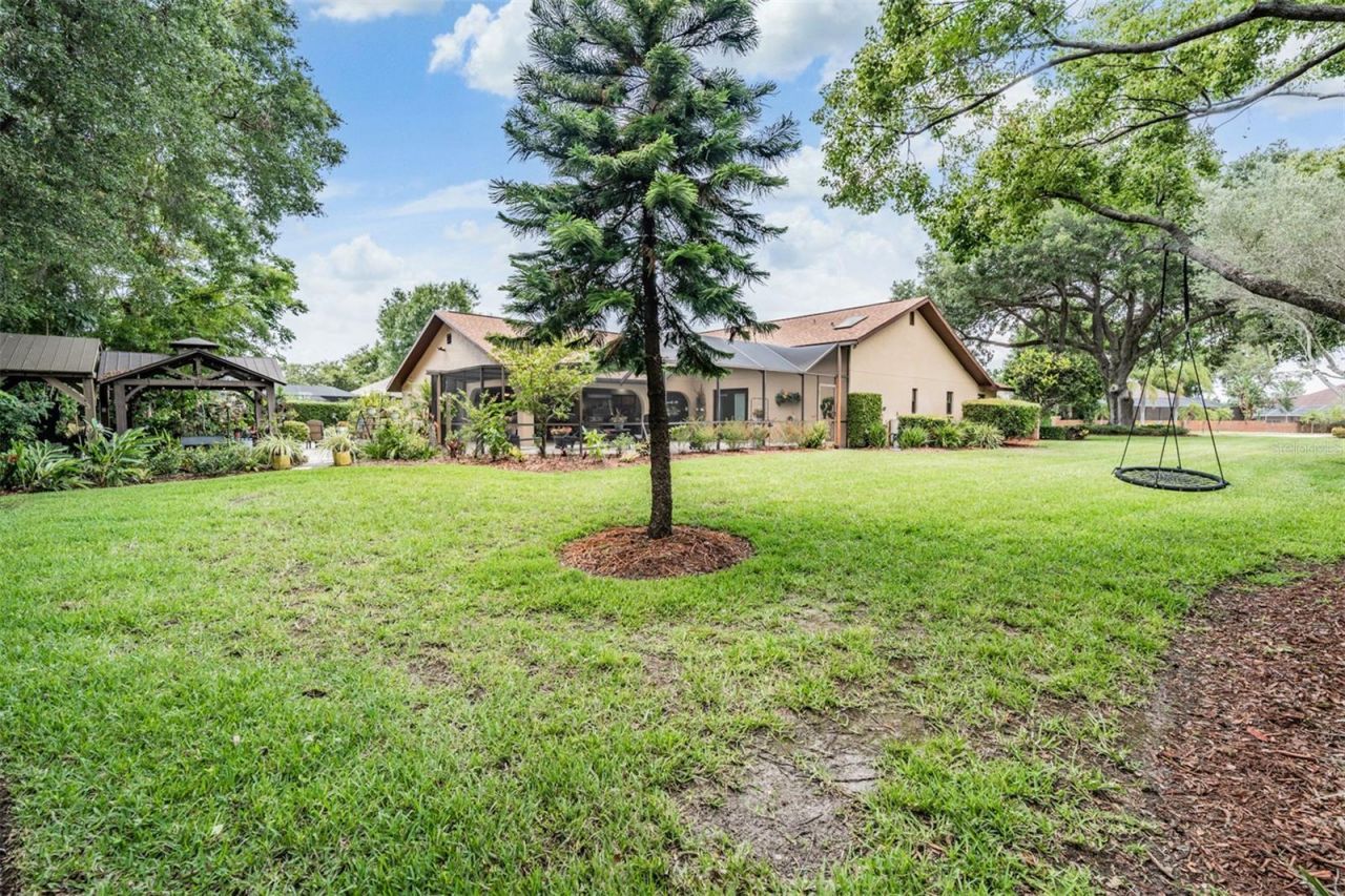 13203 Spindlewyck Cove, Riverview, FL 33569 Photo