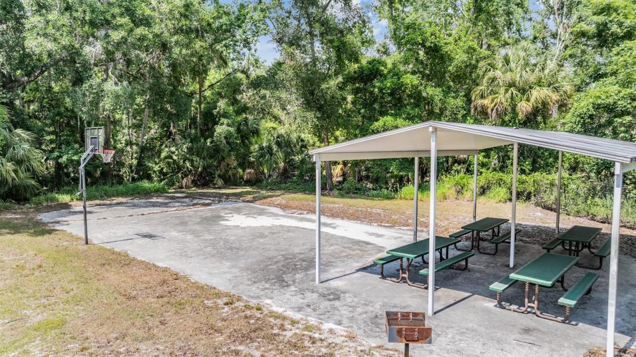 13203 Spindlewyck Cove, Riverview, FL 33569 Photo