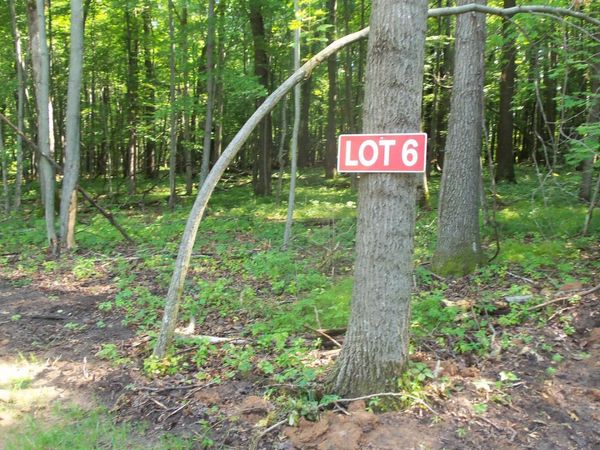 Lot 6 Howard Johnson Trl , Siren, WI 54872