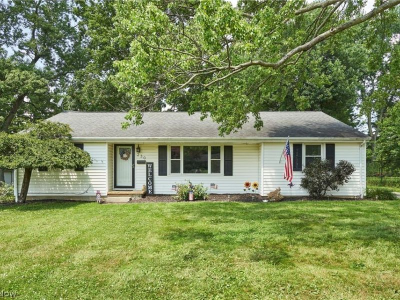 230 Valley View Drive , Wadsworth, OH 44281 Photo 1