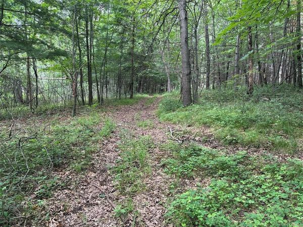 Lots 19 & 20 449th St, Menomonie, WI 54751