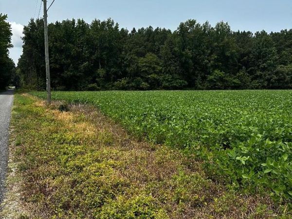 Tax ID 3 Zacata Road, MONTROSS, VA 22520