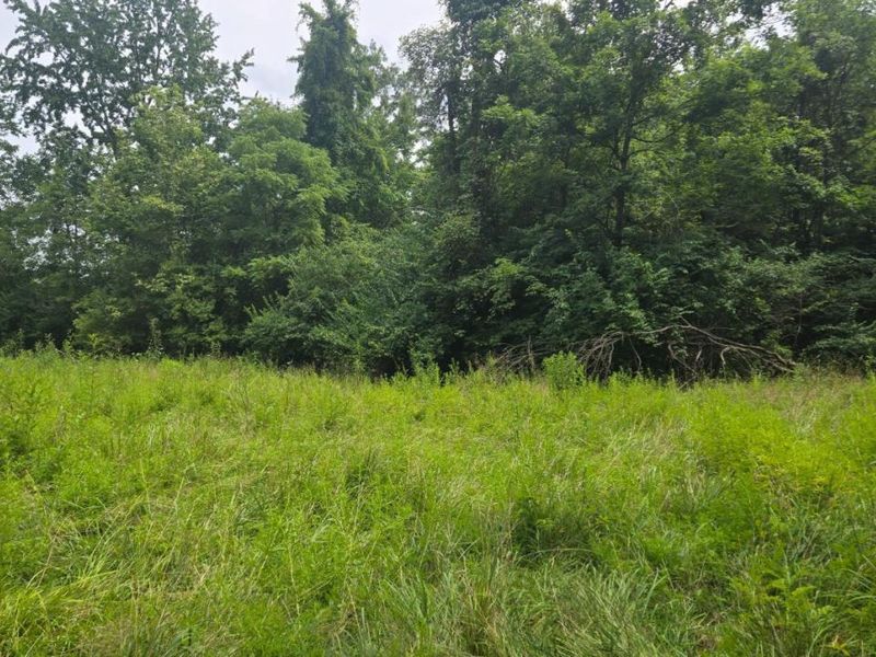 508 Cherry Street, Blanchester, OH 45107 Photo 8
