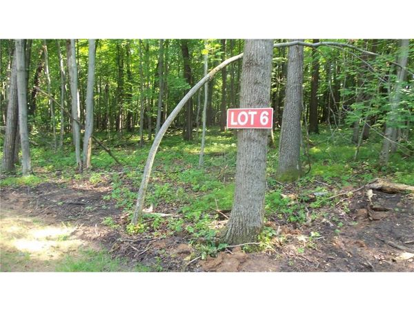 Lot 6 Howard Johnson Trl, Siren, WI 54872