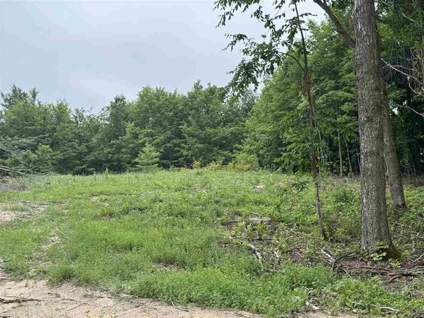 Mountain View Trail, Petoskey, MI 49770