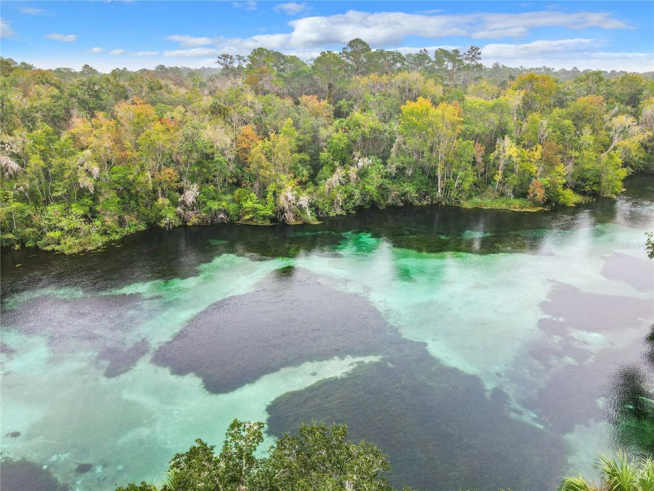 9000 SW 203rd Court, Dunnellon, FL 34431 Photo