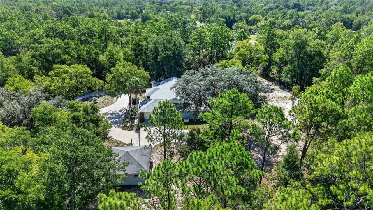 9000 SW 203rd Court, Dunnellon, FL 34431 Photo