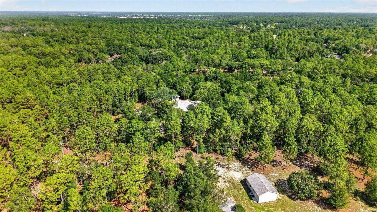 9000 SW 203rd Court, Dunnellon, FL 34431 Photo