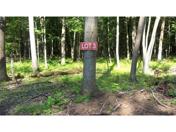 Lot 3 Howard Johnson Trl, Siren, WI 54872