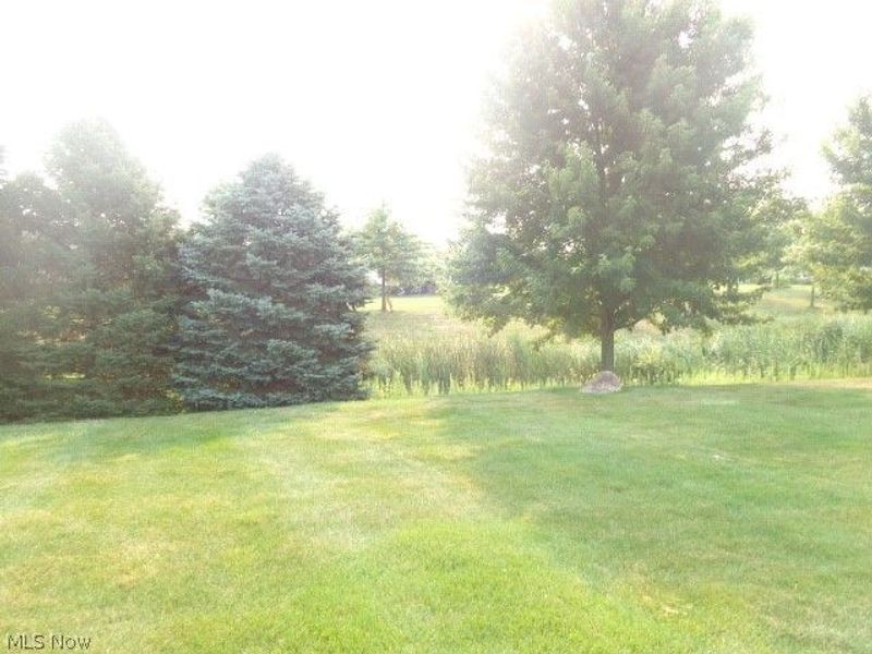 9345 Norwich Place, North Ridgeville, OH 44039 Photo 12