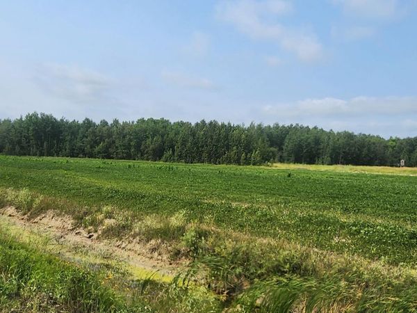 TBD 340th Avenue NE, Goodridge, MN 56725
