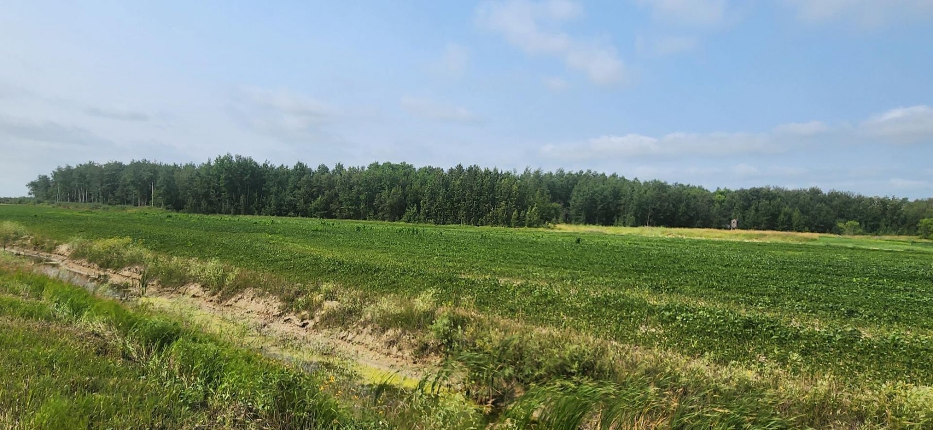 TBD 340th Avenue NE, Goodridge, MN 56725